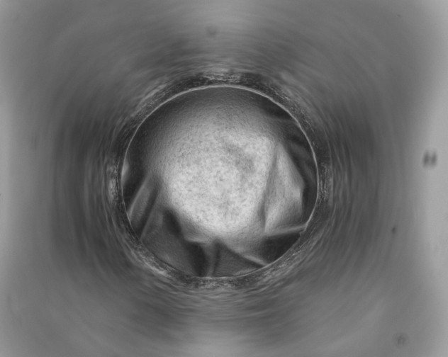 X0000090921154200708131427