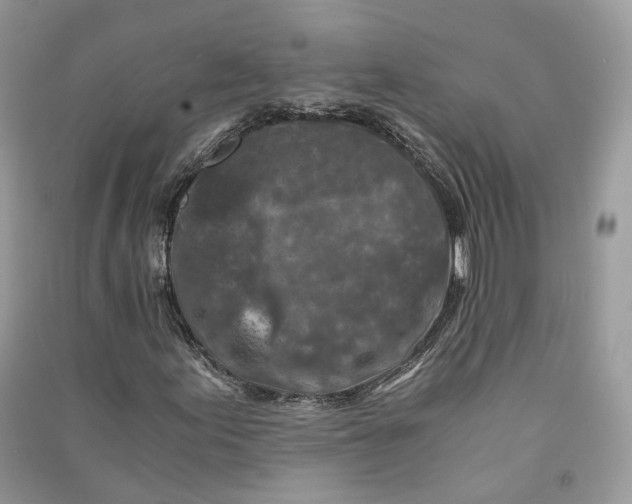 X0000090921155200708131427