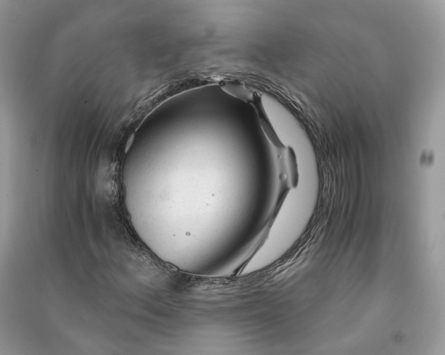 X0000090921156200708131427