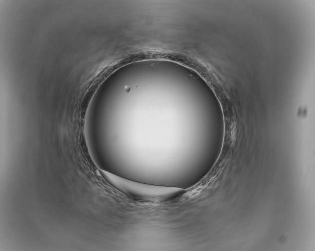 X0000090921157200708131427