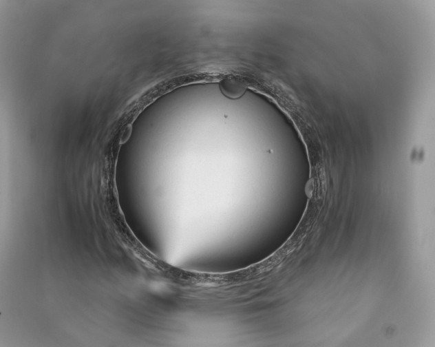 X0000090921158200708131427