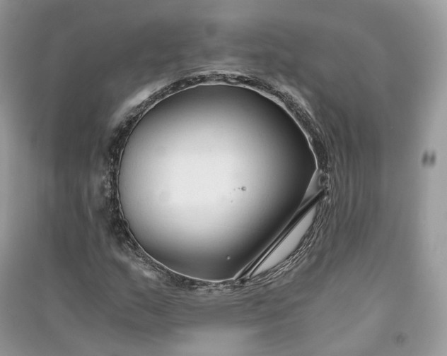 X0000090921159200708131427