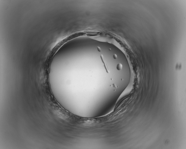 X0000090921160200708131427