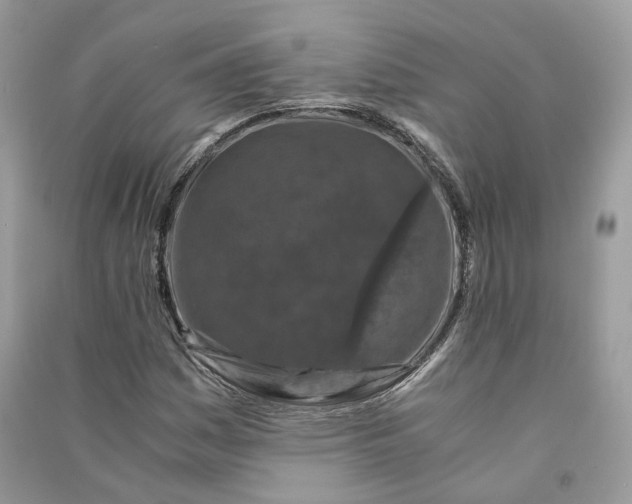 X0000090921161200708131427