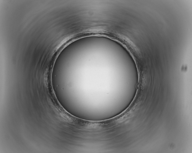 X0000090921162200708131427