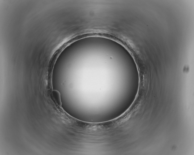 X0000090921165200708131427