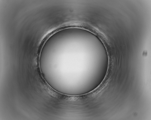 X0000090921166200708131427