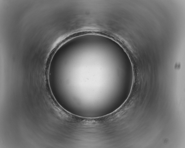 X0000090921168200708131427