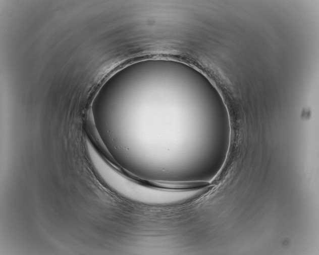 X0000090921169200708131427