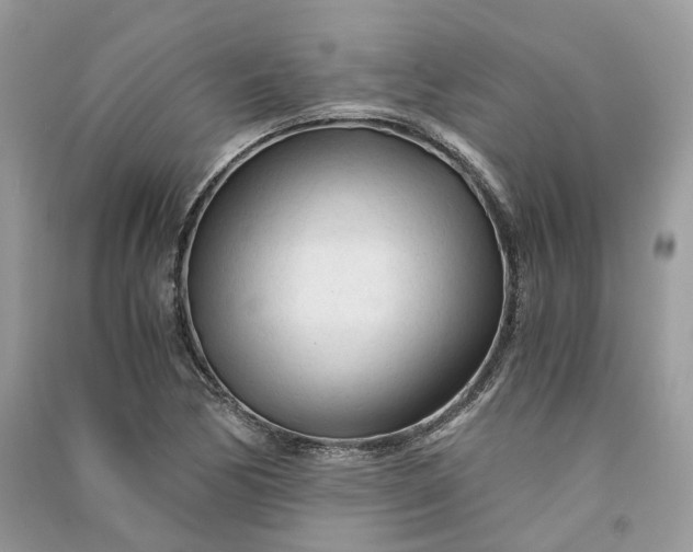 X0000090921170200708131427