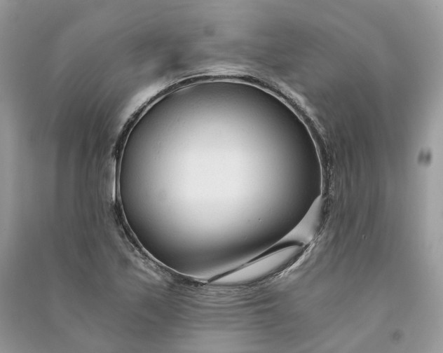 X0000090921171200708131427