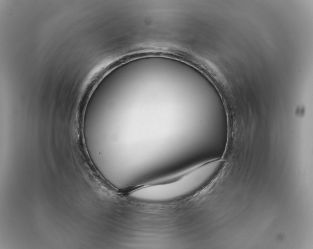 X0000090921172200708131427