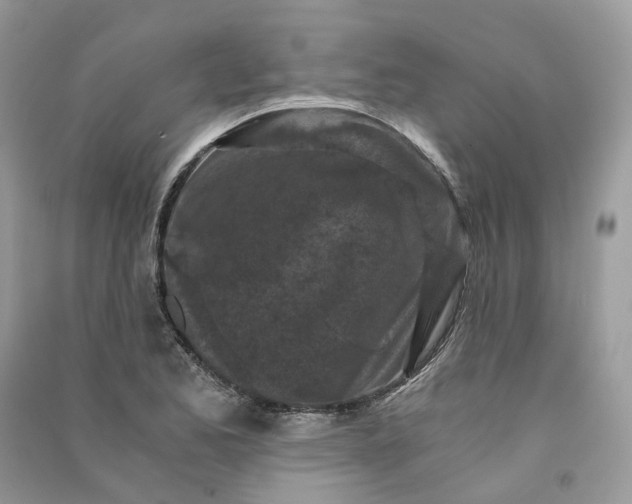 X0000090921173200708131427