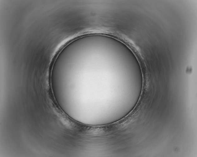 X0000090921174200708131427