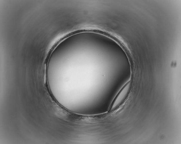 X0000090921175200708131427