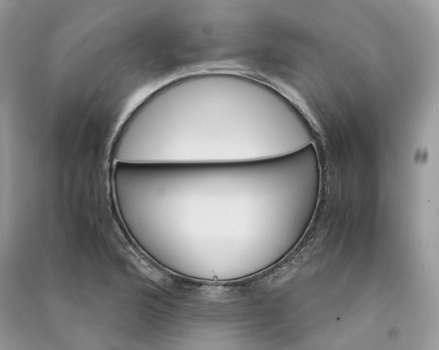 X0000090921176200708131427