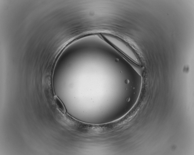 X0000090921177200708131427