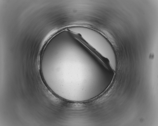 X0000090921180200708131427