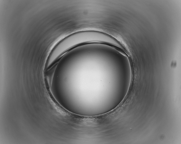 X0000090921181200708131427