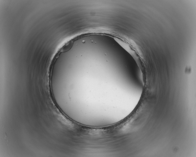 X0000090921184200708131427