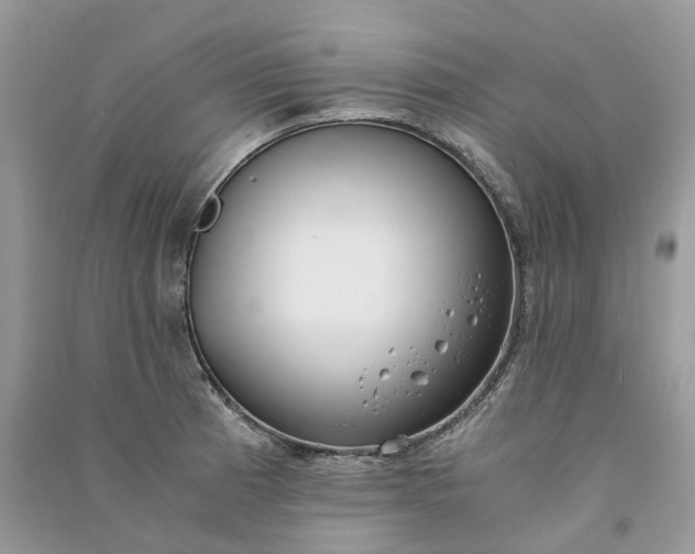 X0000090921185200708131427