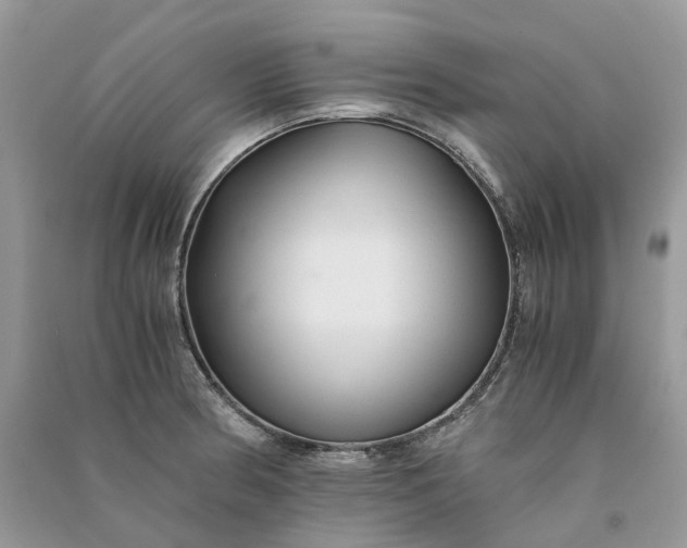 X0000090921186200708131427