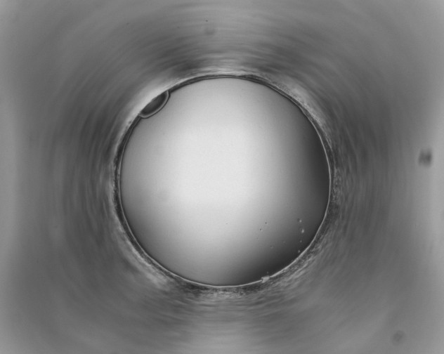 X0000090921187200708131426