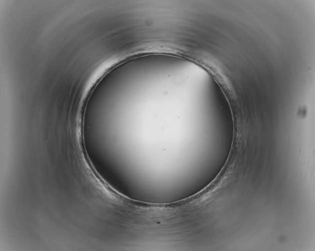 X0000090921188200708131426