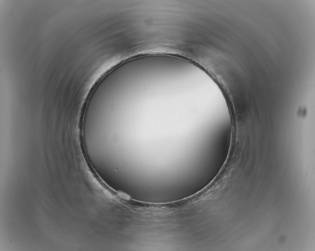 X0000090921189200708131426