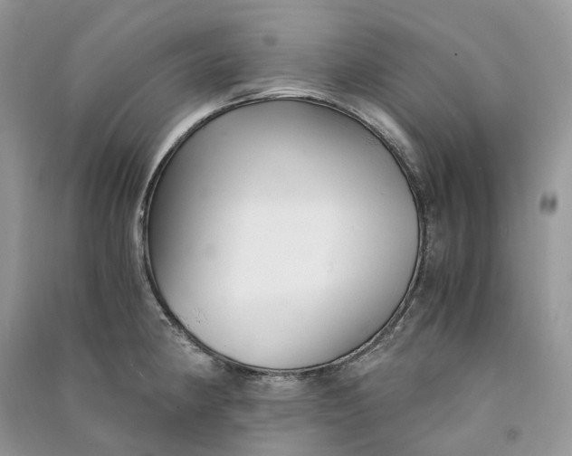 X0000090921190200708131426