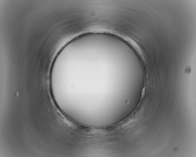 X0000090921191200708131426