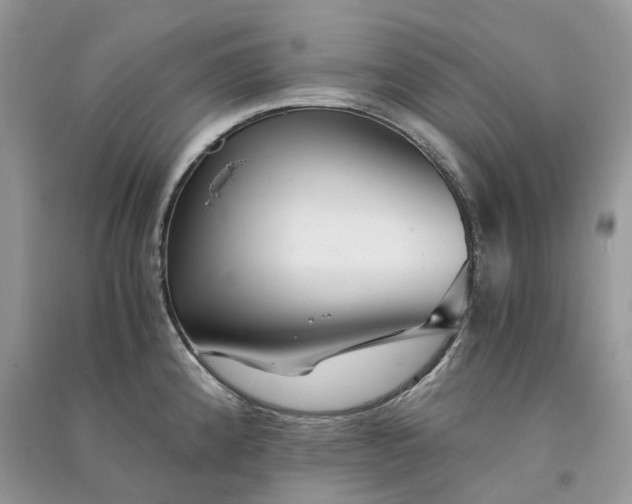 X0000090921192200708131426