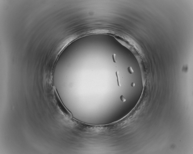 X0000090921193200708131426