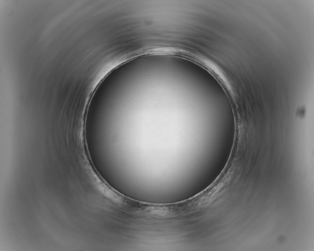 X0000090921194200708131426