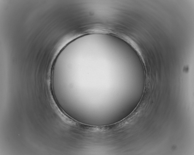 X0000090921195200708131426