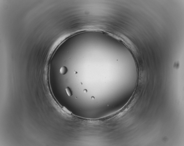 X0000090921196200708131426