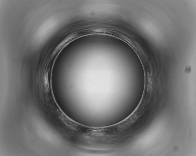 X0000090921198200708131426