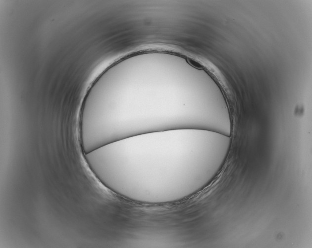 X0000090921199200708131426