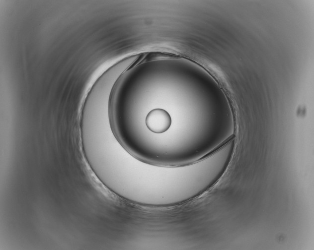 X0000090921200200708131426