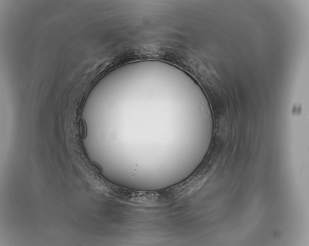 X0000090921201200708131426