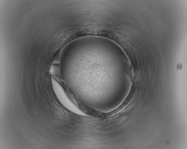 X0000090921202200708131426