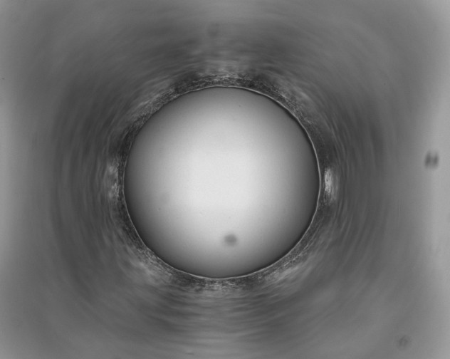 X0000090921203200708131426