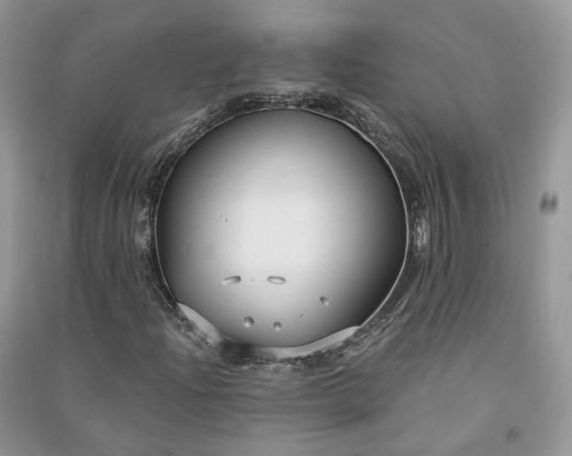 X0000090921204200708131426