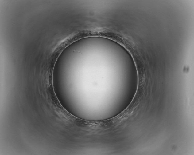 X0000090921205200708131426