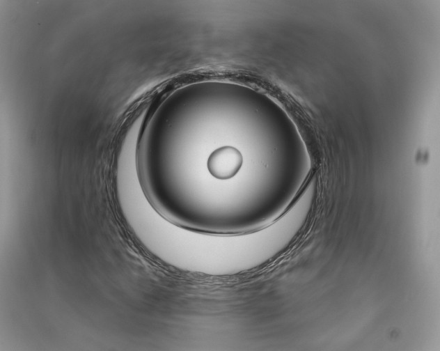 X0000090921206200708131426