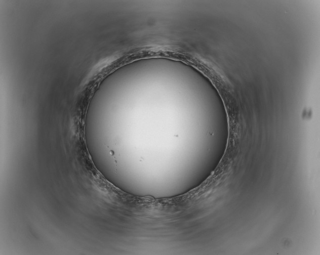 X0000090921207200708131426