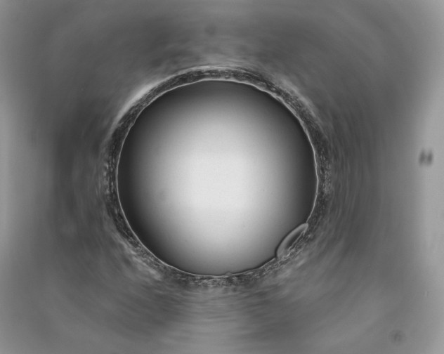 X0000090921208200708131426