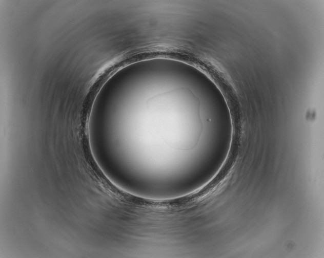 X0000090921210200708131426