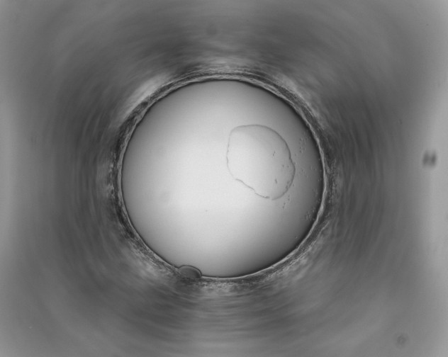 X0000090921211200708131426