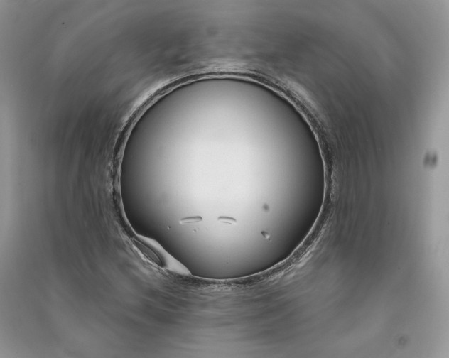 X0000090921212200708131426